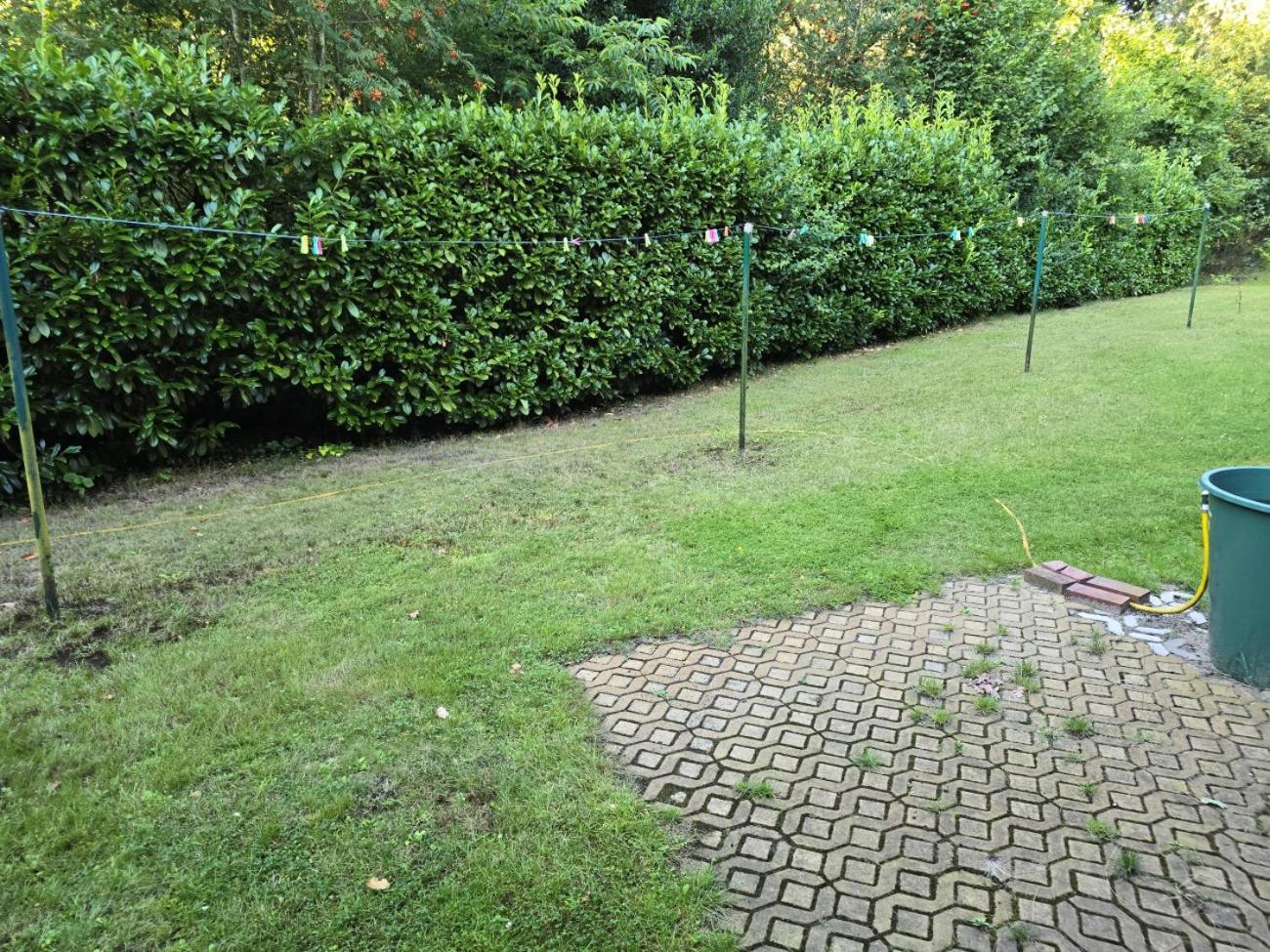 Ahauser Ferien-Appartement 48Qm Ahausen  Exterior foto